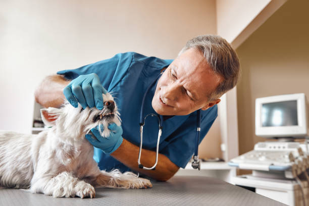 Best Emergency Tooth Extraction in Ramseur, NC